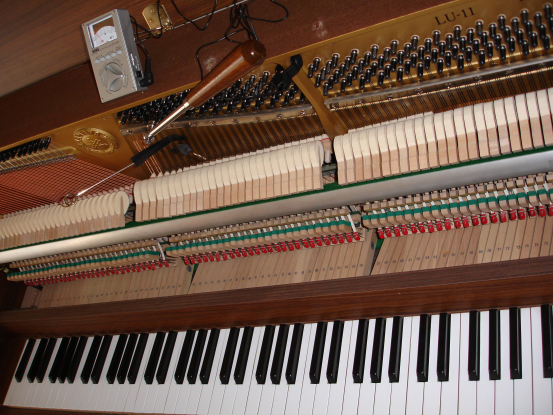 Placeholder  Image