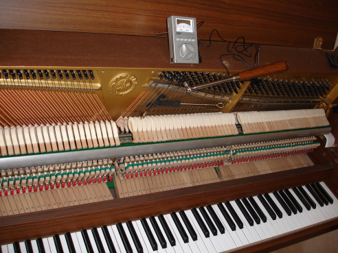 Placeholder  Image