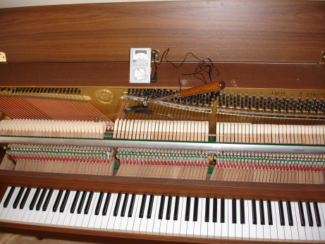 Placeholder  Image