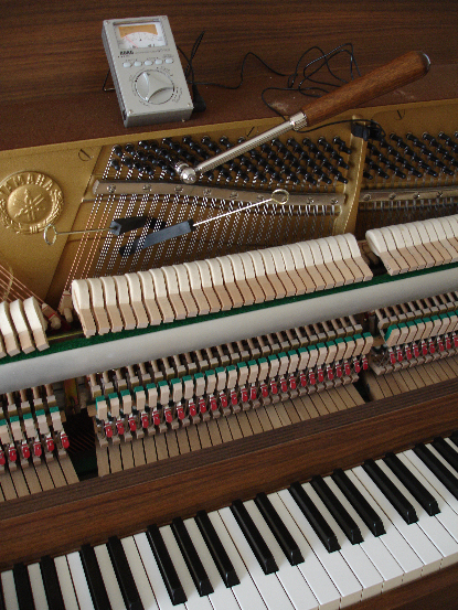 Placeholder  Image